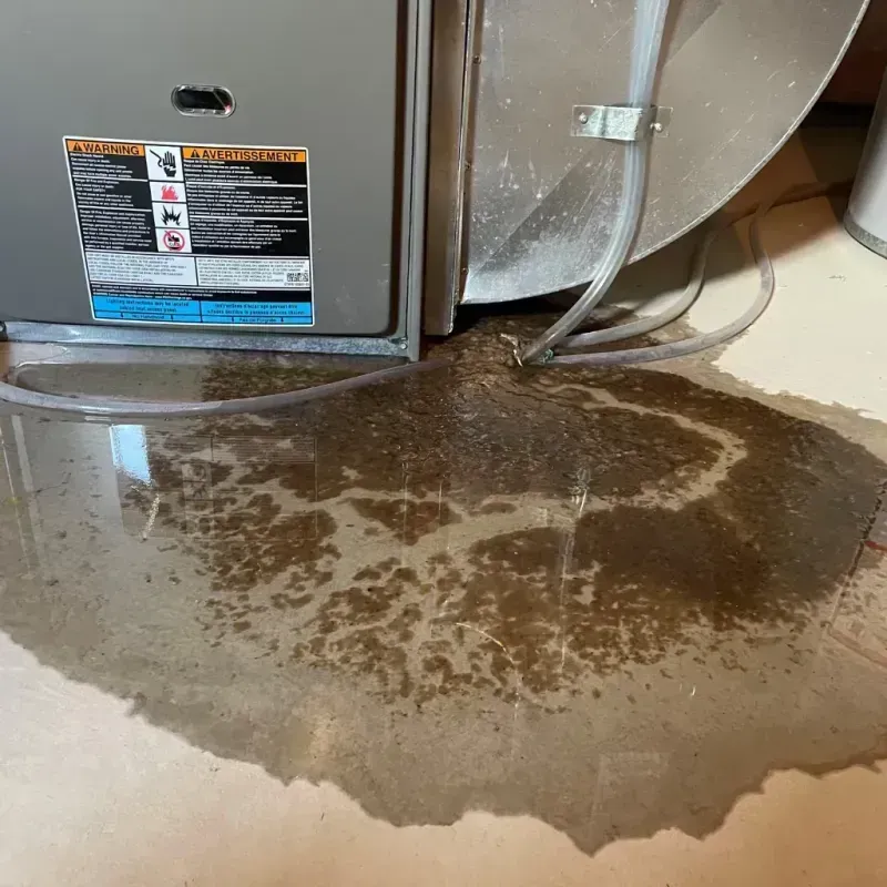 Appliance Leak Cleanup in Blountville, TN